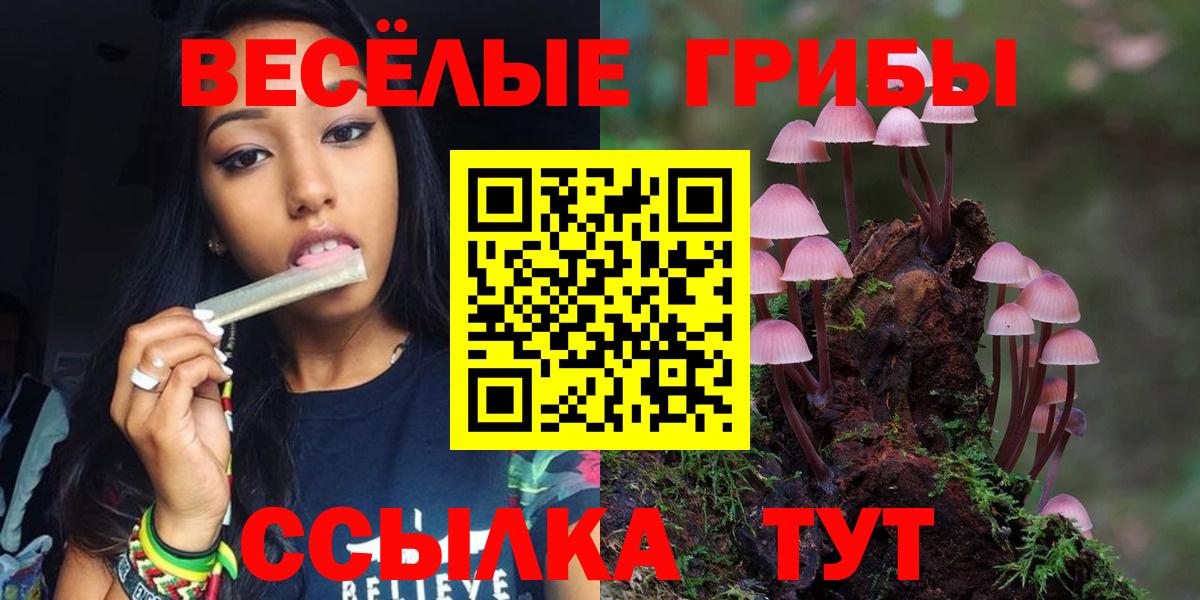 Псилоцибиновые грибы Cubensis Протвино