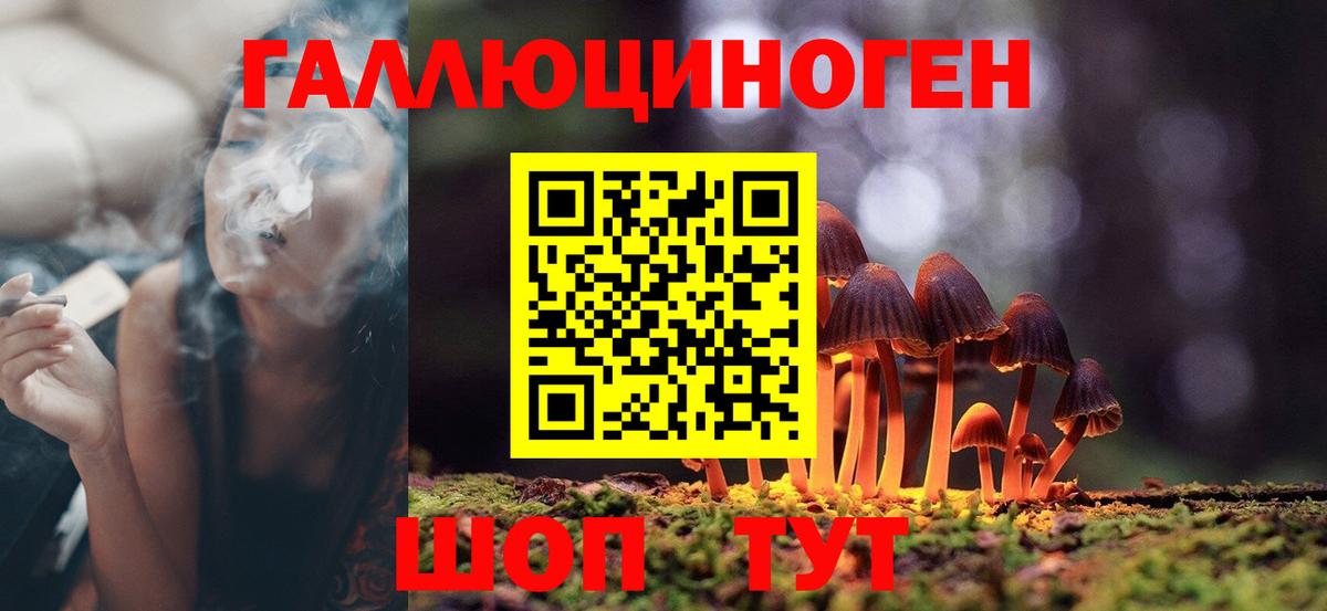 Галлюциногенные грибы прущие грибы  Вход с VPN  Протвино 